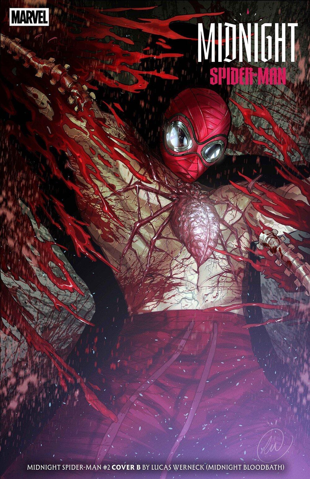 Cover B Lucas Werneck raw comic cover